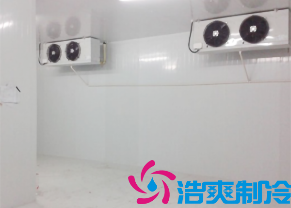 寧波市建造-18~-25℃食品冷凍庫需要投資多少費用？_国产精品久久久久久製冷